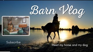 Barn Vlog #1 | Meet my horse & my dog. Errands. Baby horses. Espresso.