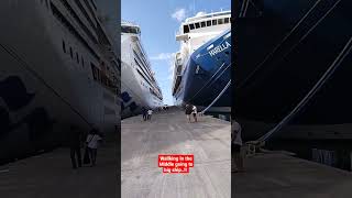 Wallking in the middle biggers cruise ship..! #shorts