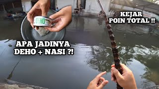 APA JADINYA DEHO DI CAMPUR NASI ?? KEJAR TOTAL POIN