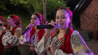 Flori de Busuioc-  Nuntă 2023 🎼🎶🔝