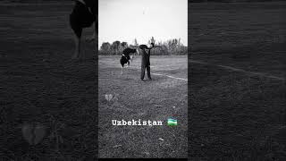 Nurbek_ #shors #uzbekistan #tiktok #uzbekistan #reels 2024