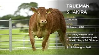 TRUEMAN SHAKIRA - Pedigree Limousin