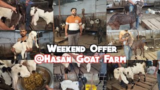 Weekend Offer | Sasta Bakriyo Ka Chara | Bakriya @Hasan Goat Farm Charminar Murgi Chowk Hyd