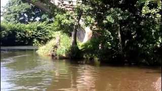 River swimming in the River Dove