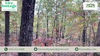 0.7 Acres of Pure Potential Await in Izard County, Arkansas FVL #2346