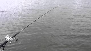 Lake Wylie catfish rod takedown