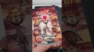 #таро #гадание_онлайн #прогноз #tarot #таролог #гадание #тароонлайн