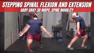 Stepping spinal flexion and extension - Gary Gray 3D Maps, Spine Mobility