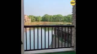 Retractable Fence pour plus d'intimité/ سياج مزخرف قابل للتمديد لمزيد من الخصوصية