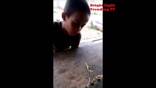 HomeMade Stickman Fight