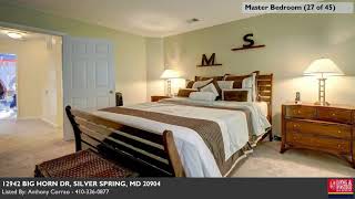 12942 BIG HORN DR, SILVER SPRING, MD 20904