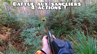 ☆battue aux sangliers 2021/2022 - 4 actions !☆