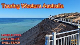 #0238 Touring WA: Hamelin Pool, Eagle Bluff, Shell Beach