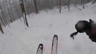 Gore Mountain Glades