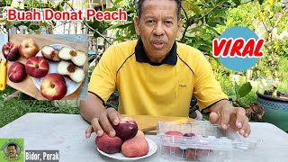 BUAH VIRAL | DONUT PEACH