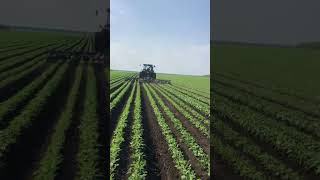 Garford Interrow is weeding for soybean