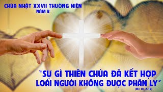 Vui sống Lời Chúa: Chúa nhật XXVII Thường niên - năm B