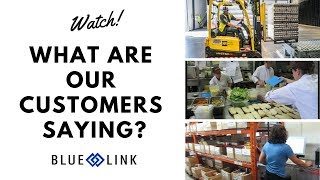 Blue Link Customer Testimonial Video