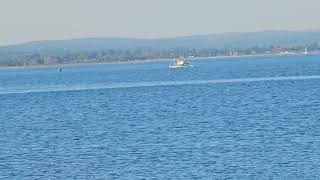 Calm sea, play in background, relaxing. #relaxing #calming #healingnature