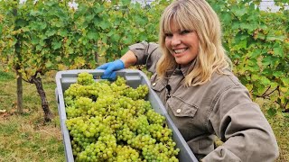 WWQT & Ridgeview Wine Estate -  Ridgeview's Story in conversation with Kate Thornton