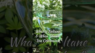 What is Beltane & When to Celebrate