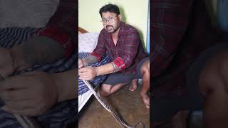 मच्छरदानी लगा के सोए वरना को खतरा 🐍😱| sillent killer |#shorts