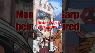 How will Luffy and Dragon react to Garp being defeated!! #onepiece #anime #luffy #garp #blackbeard