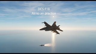 DCS F18 Air to air training