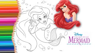 Princess mermaid Ariel coloring page | Disney Princesses all together | cute ariel kawaii