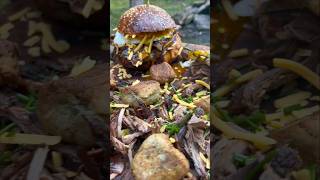 Video číslo 3. #part3 #food #nature #asmr #new #viral #relaxing #tasty #delicious #video #slovakia