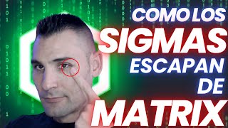 Cómo los hombres Sigma escapan de la Matrix