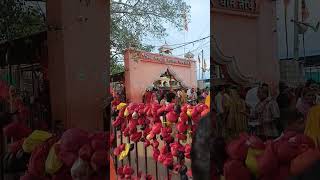 है गुरुदेव प्रणाम आपके चरणो मे #DivyaDarbar#bageshwardham #shyam #video