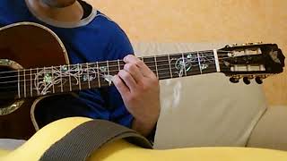 Pigro - Pino Daniele strumental cover