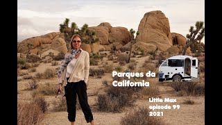 Mar salgado, Maior museu de banana do mundo, parque Joshua tree 2021 little max episode 99