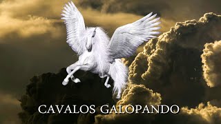 CAVALOS GALOPANDO (Horses) - HWM FILMS