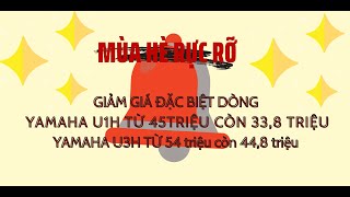 🔴 Pianoart.vn Livestream Review Đàn Piano Cơ Nhật Bản Chất Lượng Tốt.