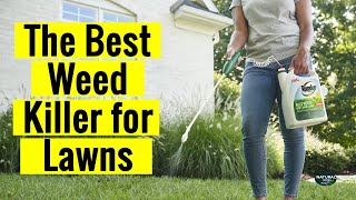 The Best Weed Killer for Lawns 2024 | Lawn Care and Weed Control