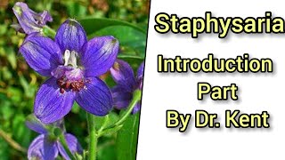 Staphysagria - Introduction By Dr. Kent