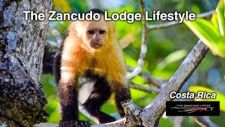 Zancudo Lodge Lifestyle | ZANCUDO LODGE