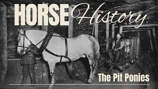 Pit Ponies, the horses of the coal mines - Horse History