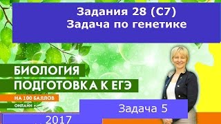 Решение задач по генетике.Подготовка к ЕГЭ по биологии.