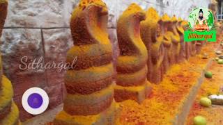 snake temple | பாம்பு விஷத்தை முறிக்கும் அதிசய புற்றுமண் கிடைக்கும் கோயில்