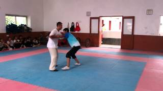 Chen Tai Chi Grappling, Push-Hands in Moving Step by Chen Chen