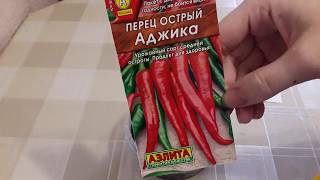 Острый перец "Аджика"