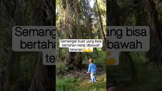 semangat pejuang rupiah #anakindonesia #anak #kalimantan #hutan #sawit #sawitkalimantan #bermain