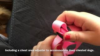 How to put on a step in harness w  Lassie 720p