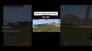 placing 1 block everyday day 82