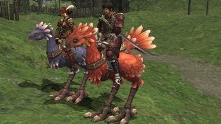 FFXI Chocobo Raising Walkthrough - Part 4 (Adulthood!)