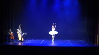 El Cisne | Saint-Saëns | Gala de Danza