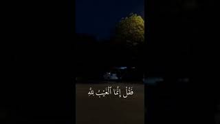 القرأن علاج القلوب♥️